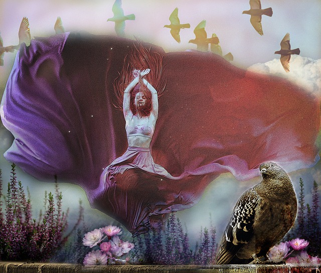 顶级防守球 顶级防守球