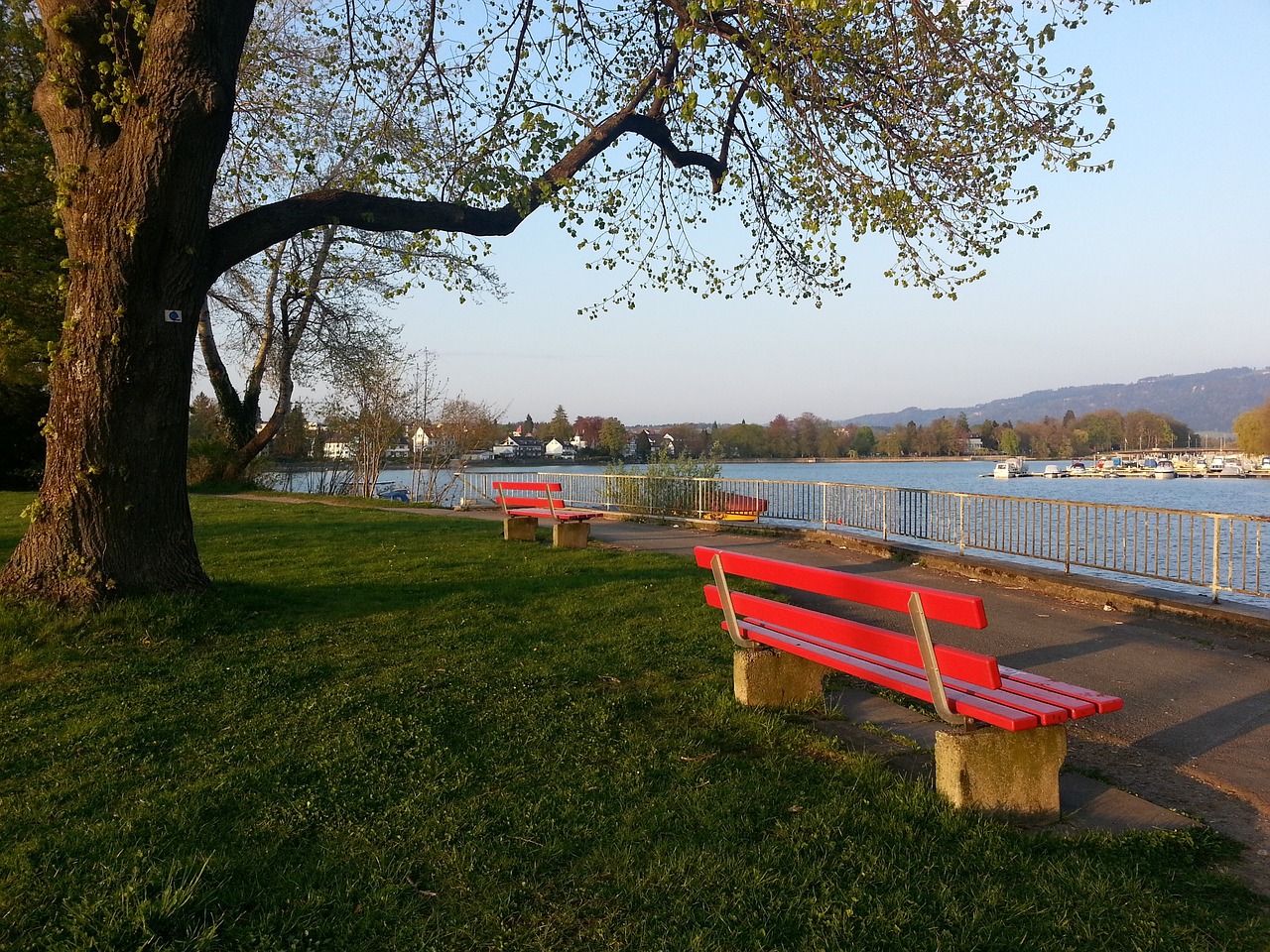 江苏苏宁的 江苏苏宁的