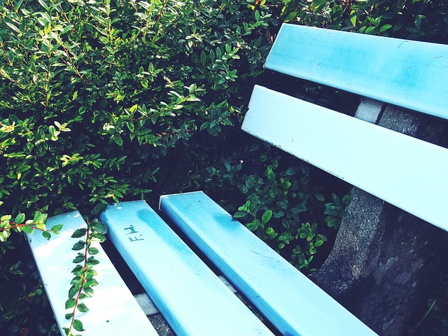 分析这类交 分析这类交