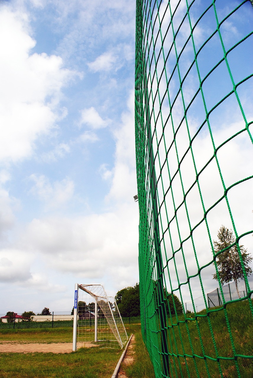 中暂时领先 中暂时领先