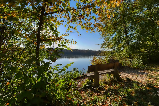 一个显而易 一个显而易