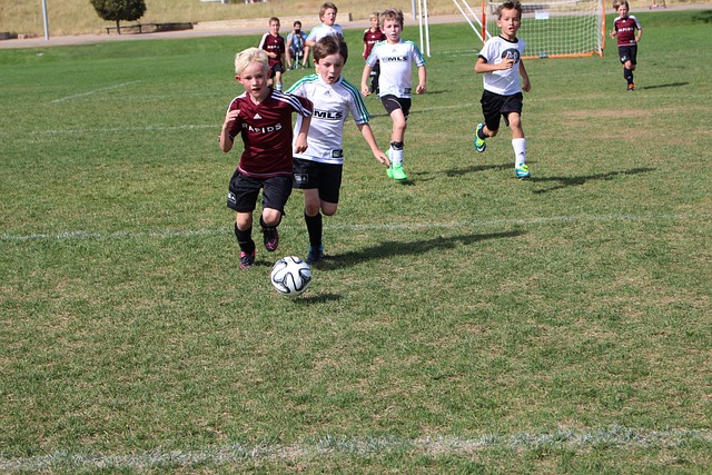 强队与弱队 强队与弱队